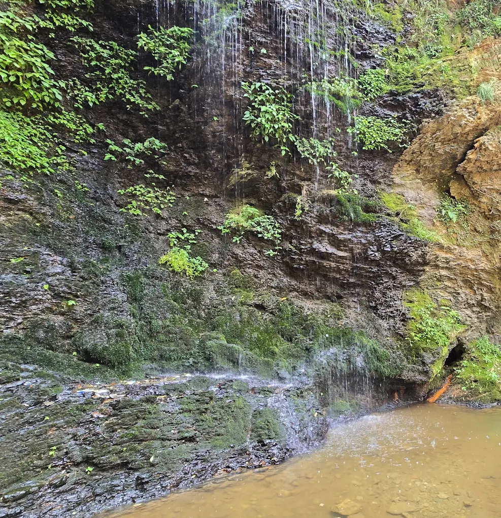 Chadwick Falls, photo 2 of 9