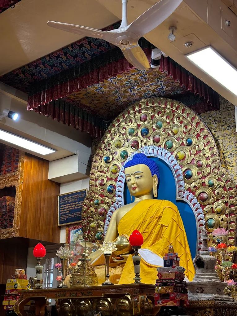 Dalai Lama Temple, Tsuglagkhang Complex, photo 1 of 8
