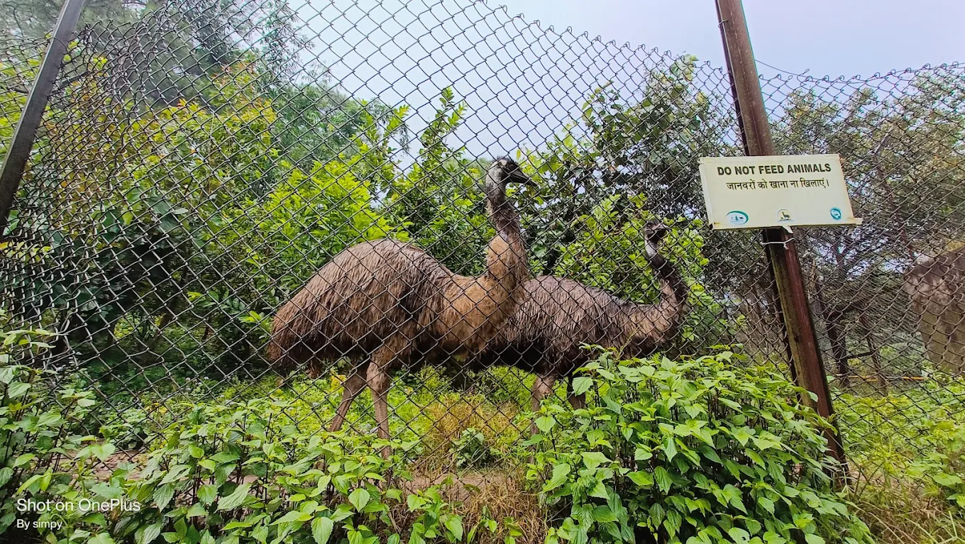 Dhauladhar Nature Park (Zoo), Gopalpur, photo 2 of 10