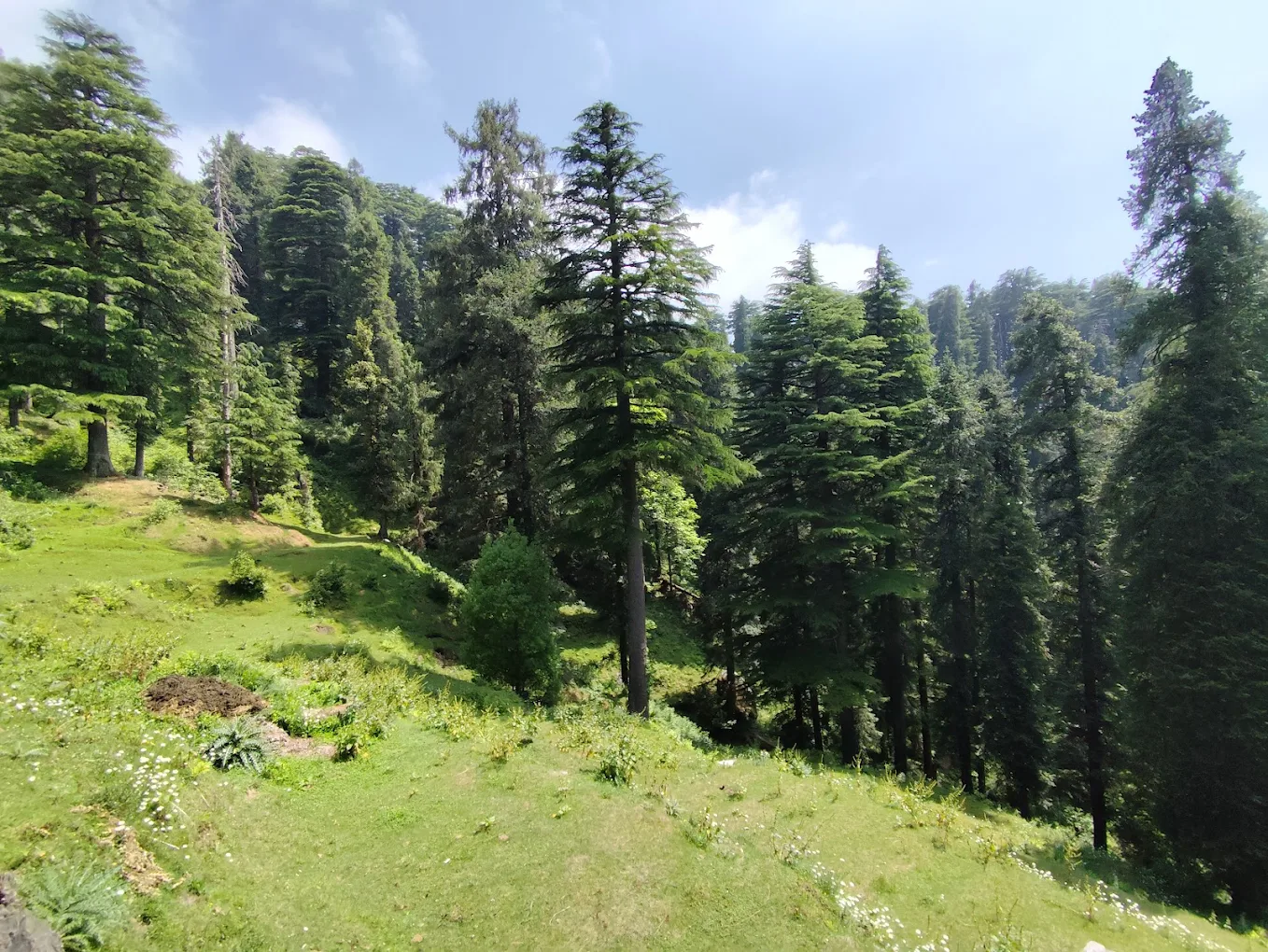 Kalatop Wildlife Sanctuary, photo 2 of 9