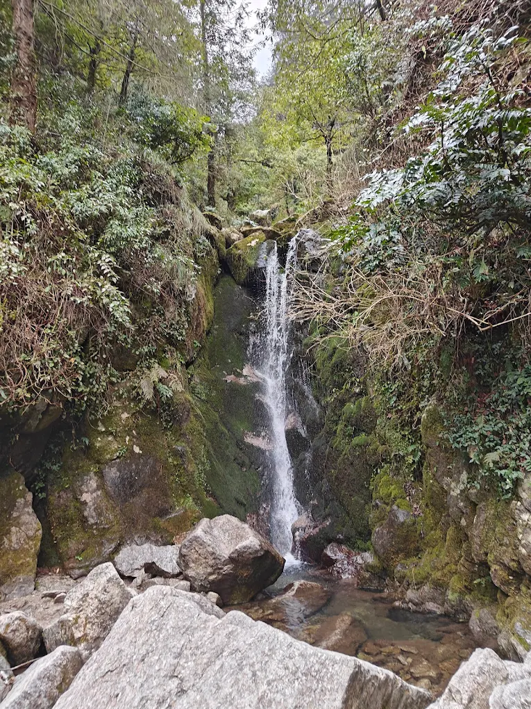 Dalhousie, Himachal Pradesh, photo 2