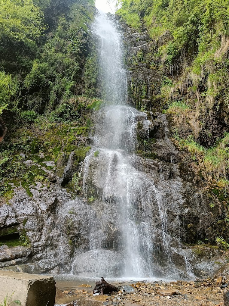 Patnitop, Jammu and Kashmir, photo 3