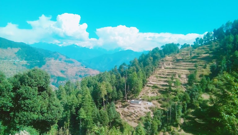 Dalhousie, Himachal Pradesh, photo 3