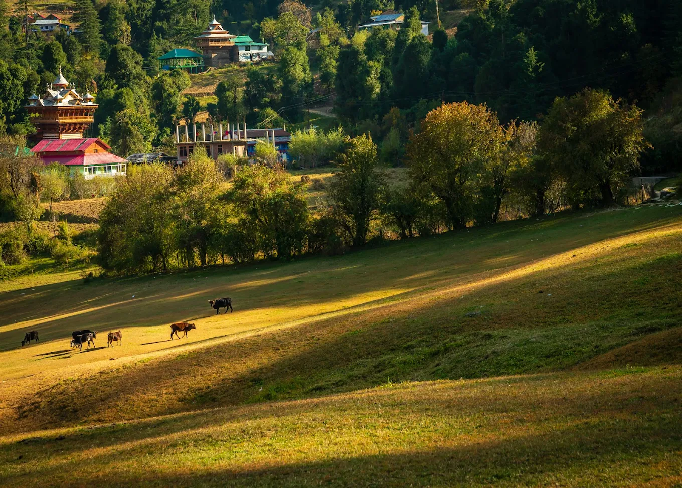 Sainj Valley, photo 3 of 10