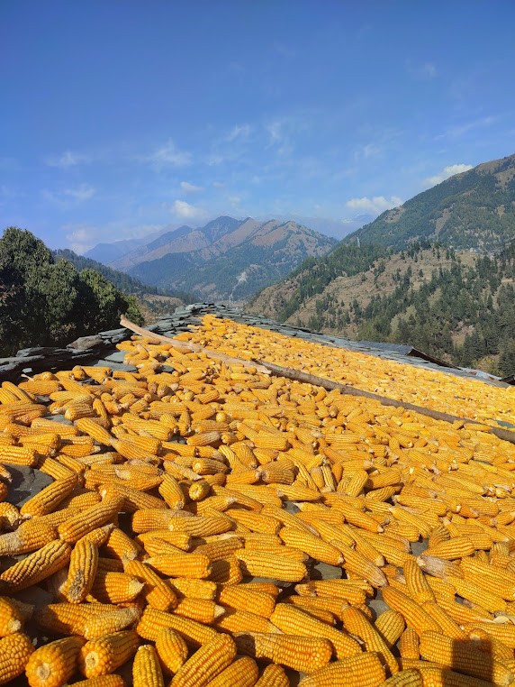 Barot Valley, photo 3 of 7