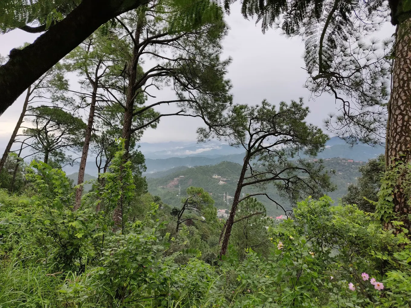 Sunset Point, photo 4 of 10