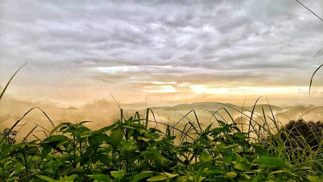 Kasauli, Himachal Pradesh