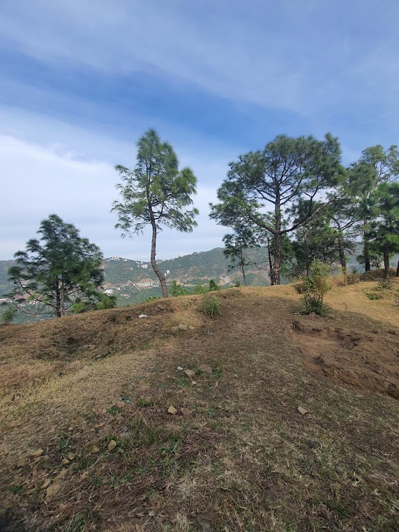 Kasauli, Himachal Pradesh, photo 3
