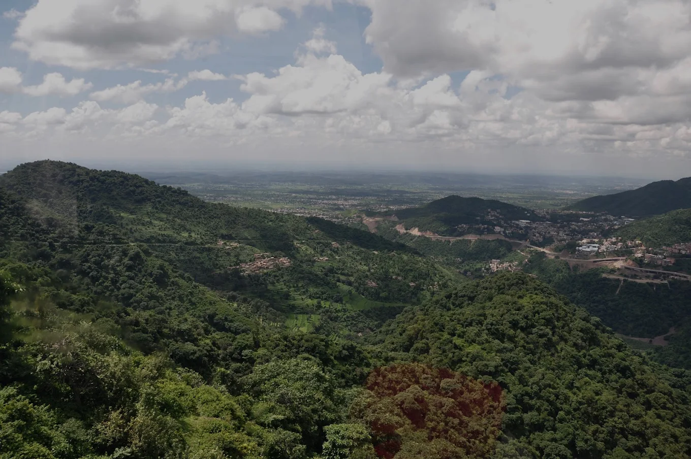Timber Trail Kasauli, photo 2 of 8