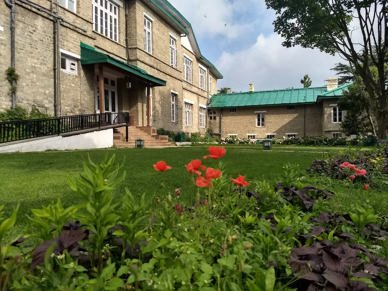 Chail, Himachal Pradesh, photo 3