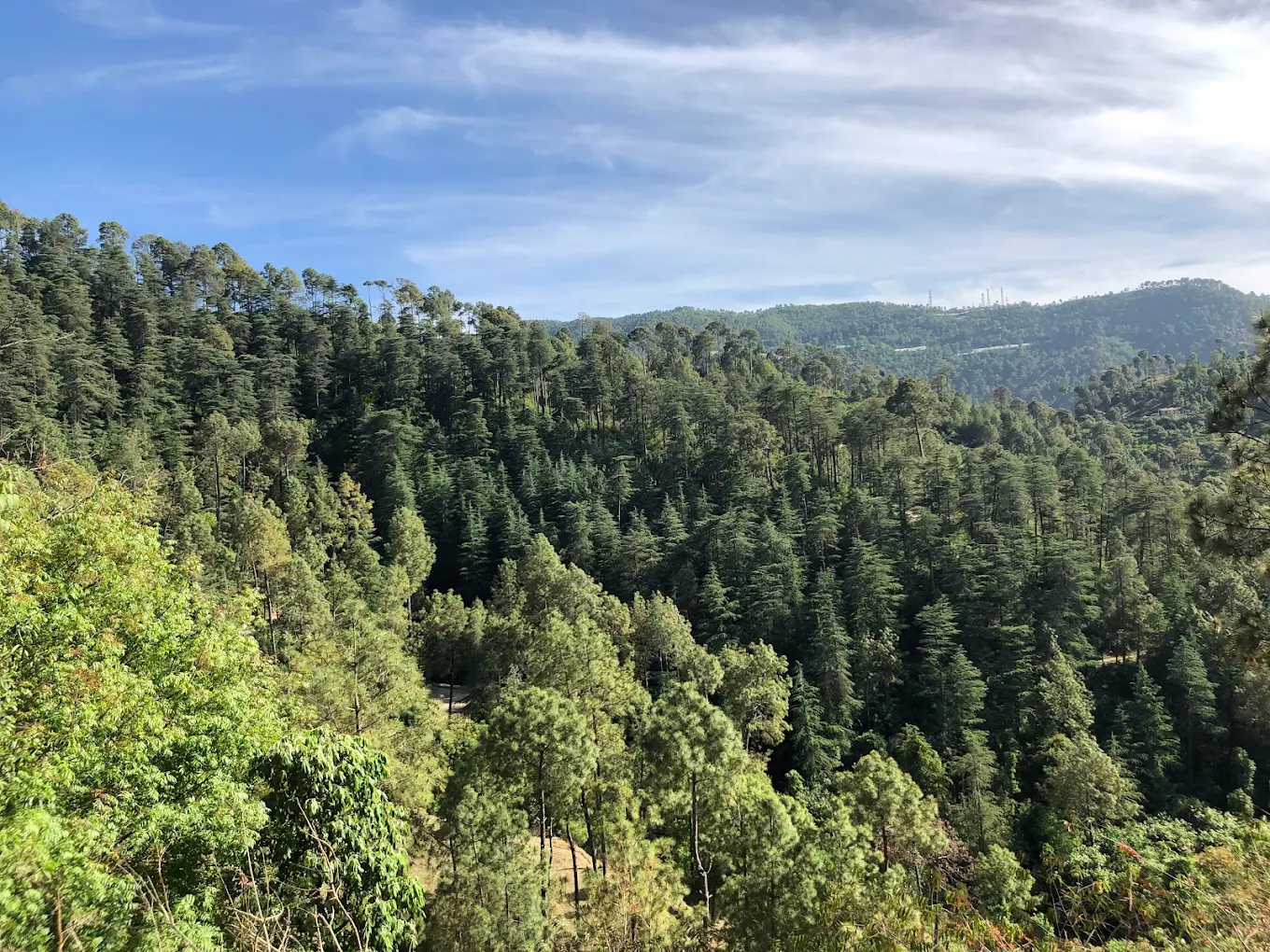 Chail Sanctuary, photo 3 of 8