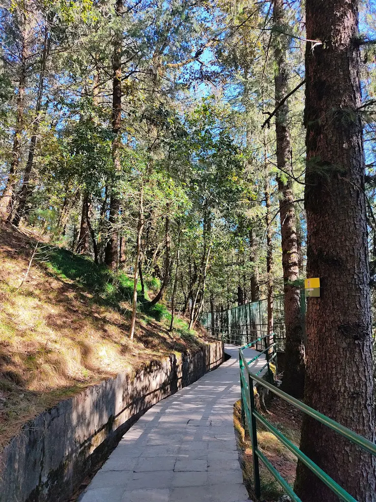 Shimla, Himachal Pradesh, photo 4