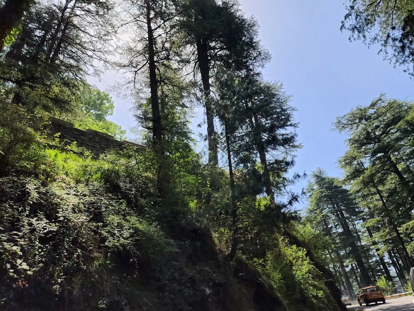 Green Valley, photo 4 of 9