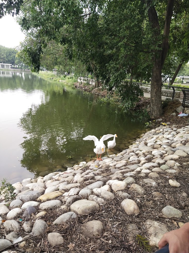 Karna Lake, photo 4 of 9