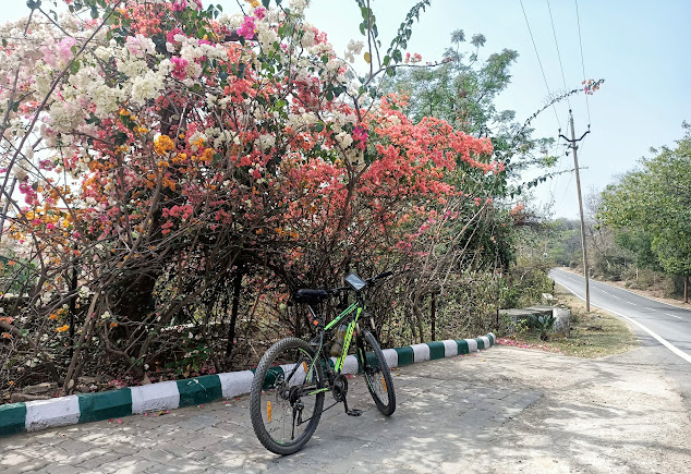 Morni Hills, photo 2 of 9