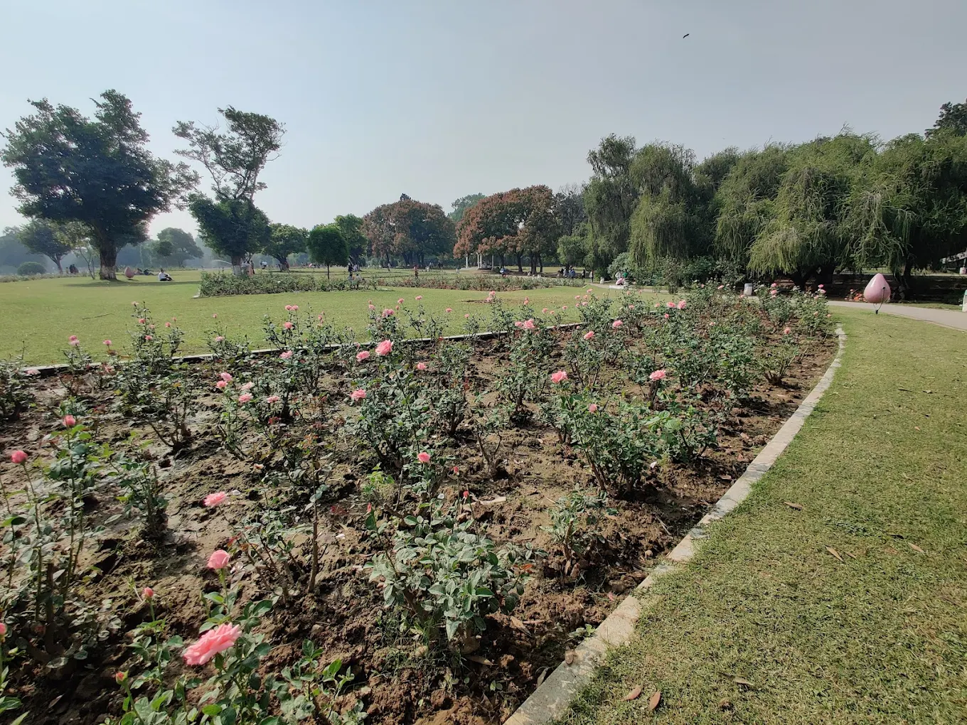 Zakir Hussain Rose Garden, photo 3 of 10
