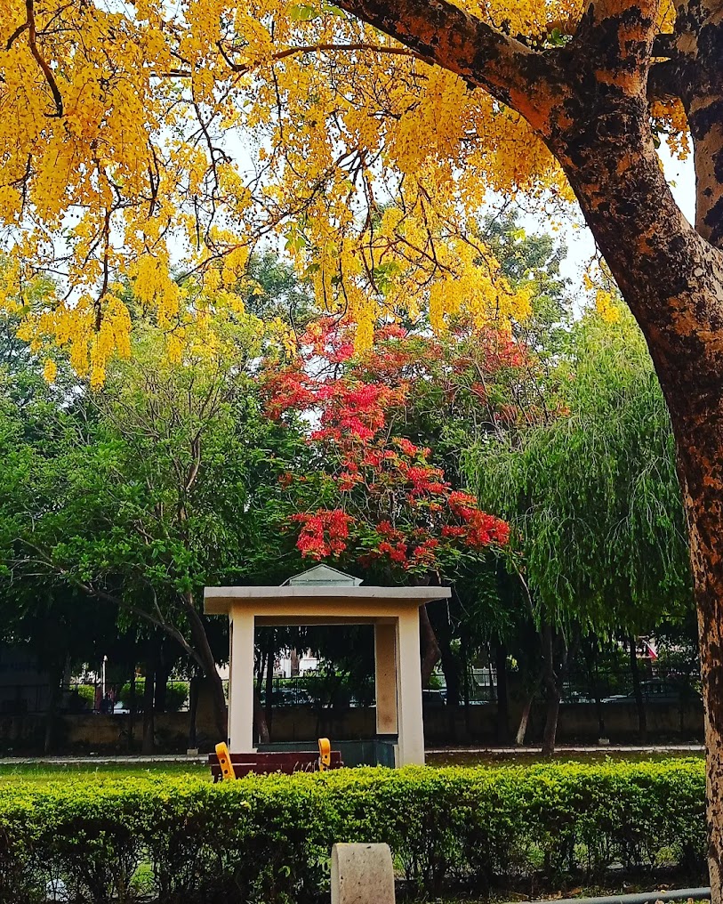 Atal Park, photo 1 of 10