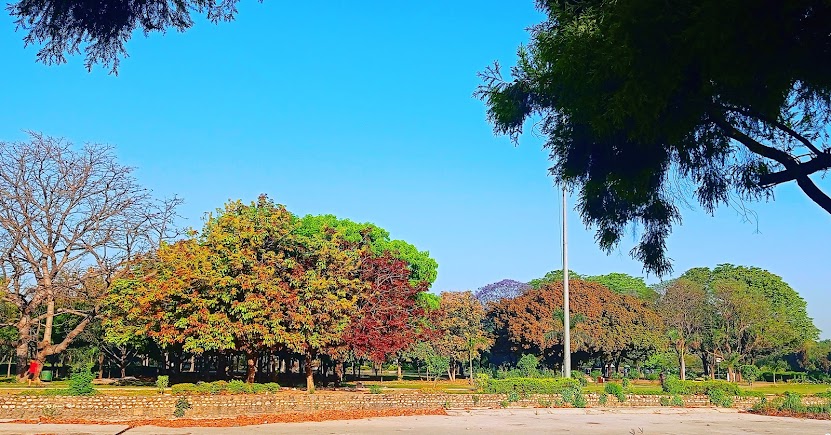 Panipat, Haryana, photo 4
