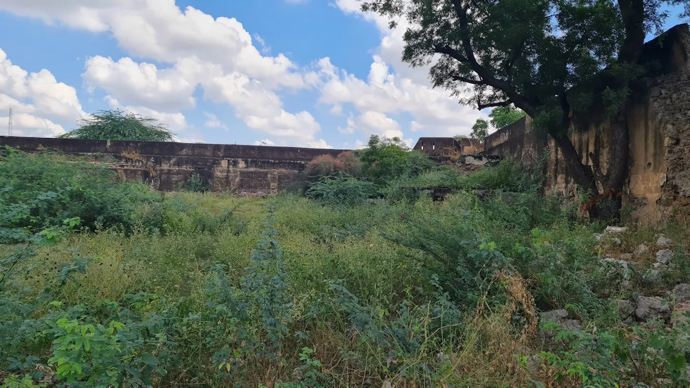 Loharu Fort, photo 3 of 8