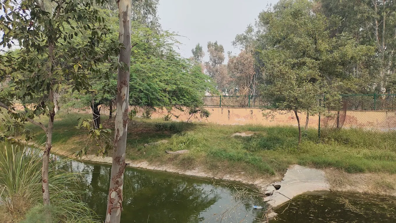 Rohtak Zoo, photo 2 of 16