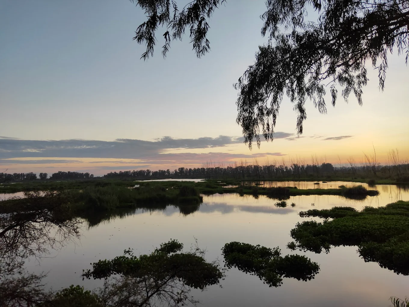 Bhindawas Bird Sanctuary - RAMSAR Wetland, photo 1 of 7