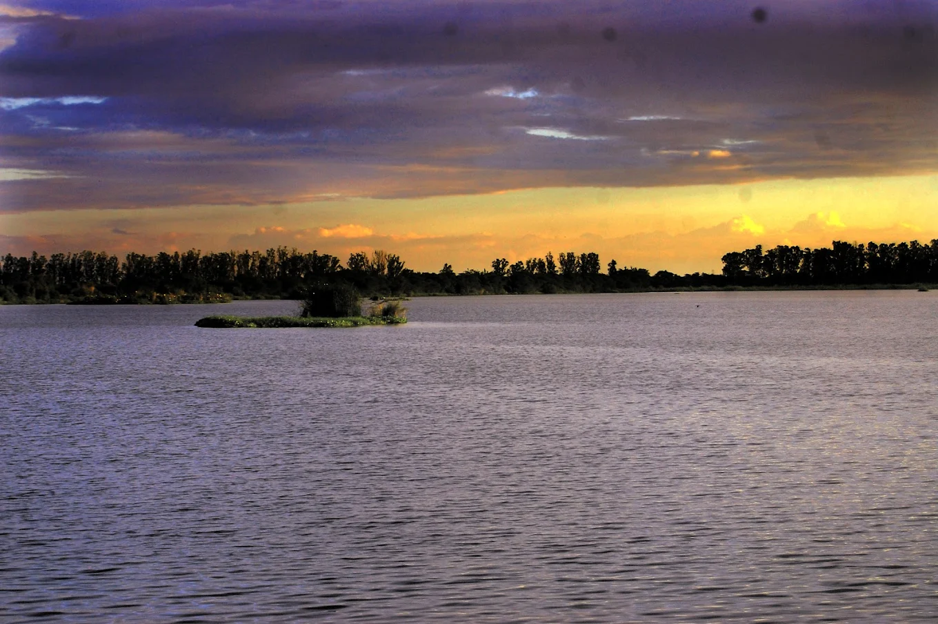 Bhindawas Bird Sanctuary - RAMSAR Wetland, photo 2 of 7