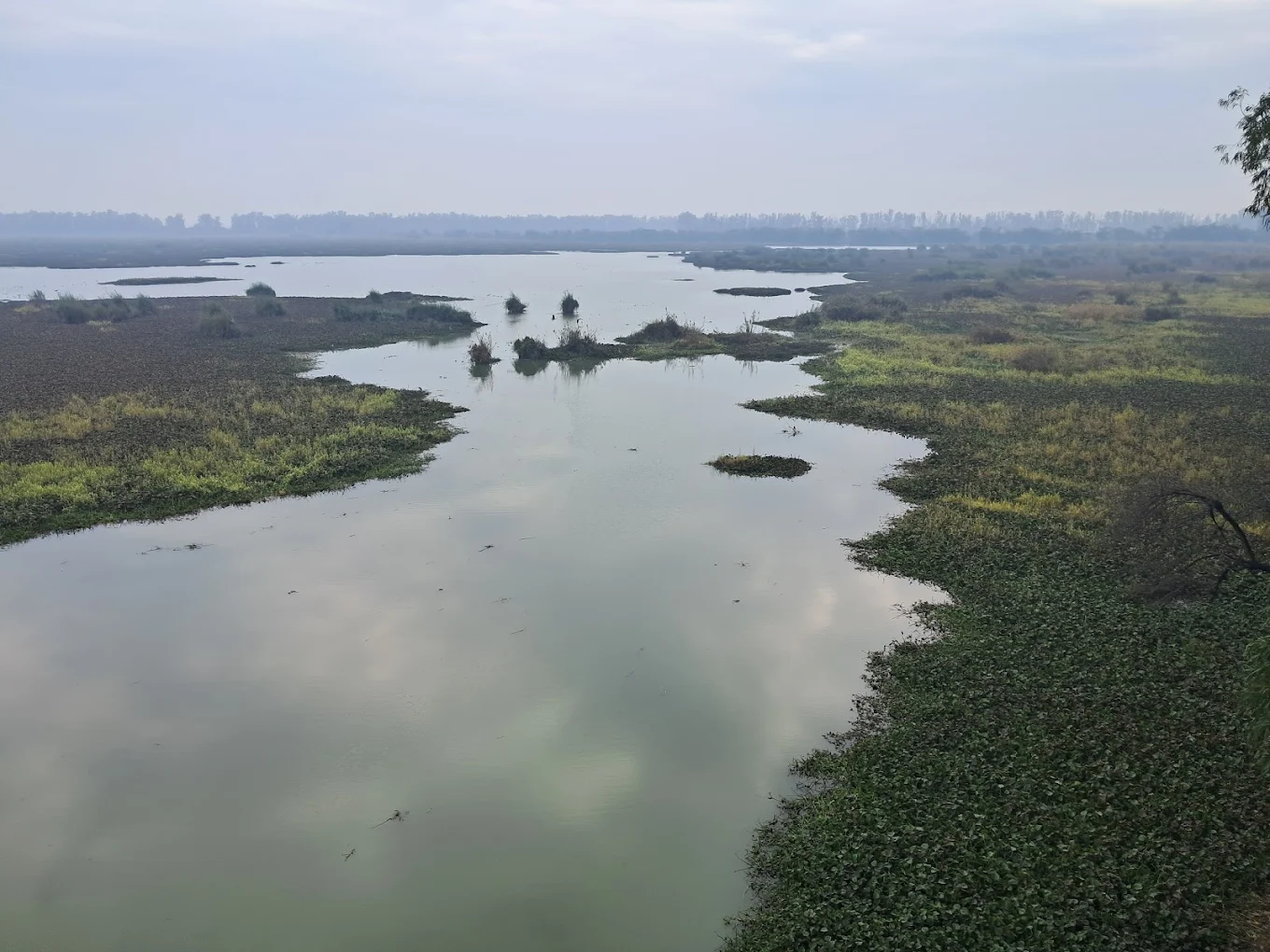 Bhindawas Bird Sanctuary - RAMSAR Wetland, photo 3 of 7