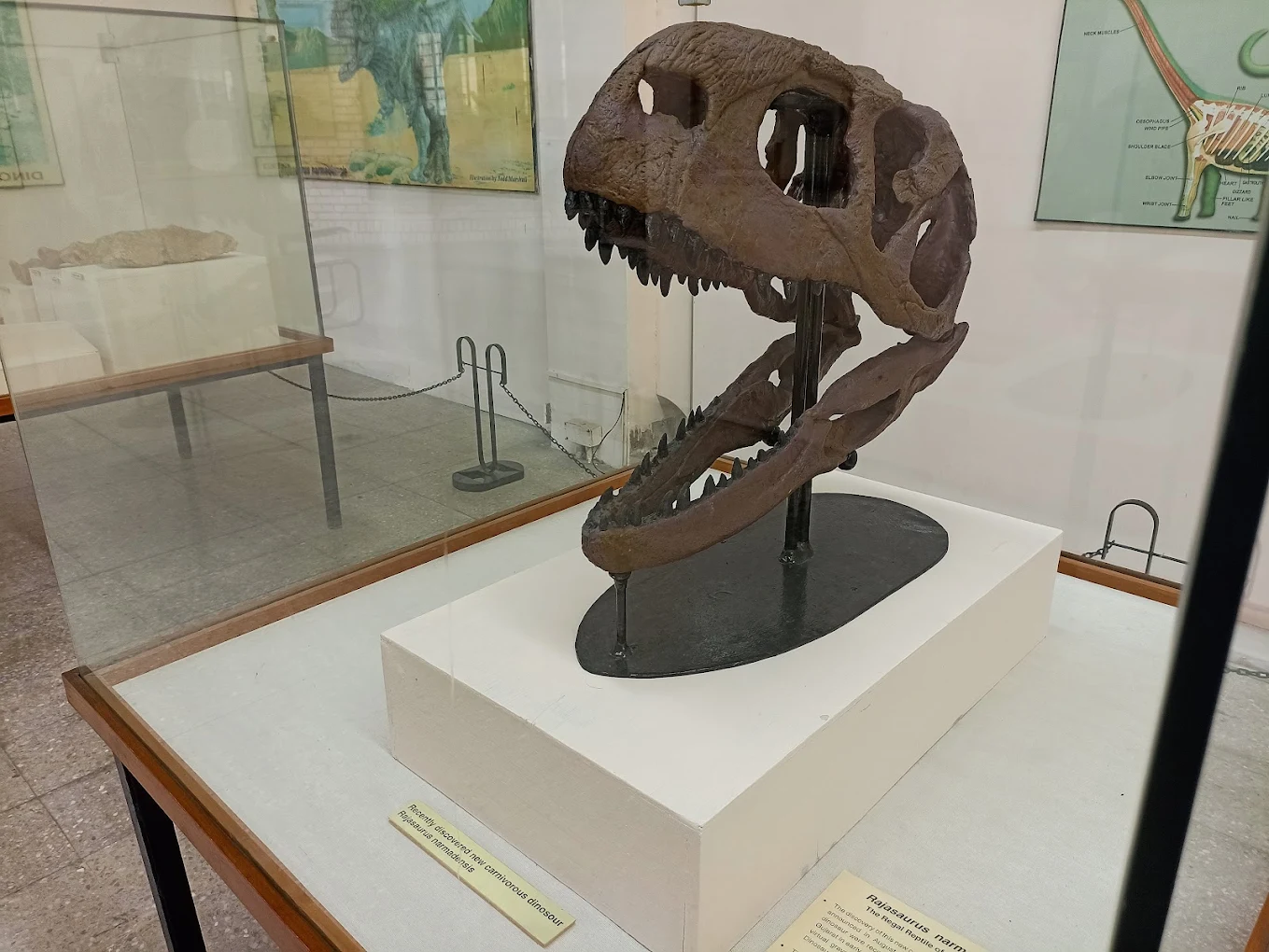 Government Museum and Art Gallery, photo 2 of 14