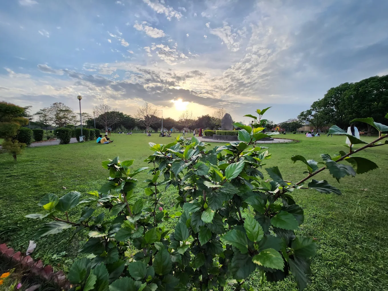 Chandigarh Botanical Garden Sarangpur, photo 4 of 13