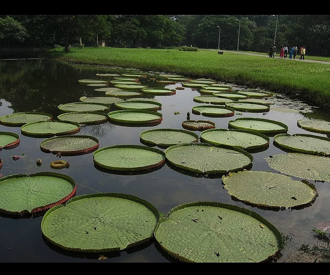 Chandigarh