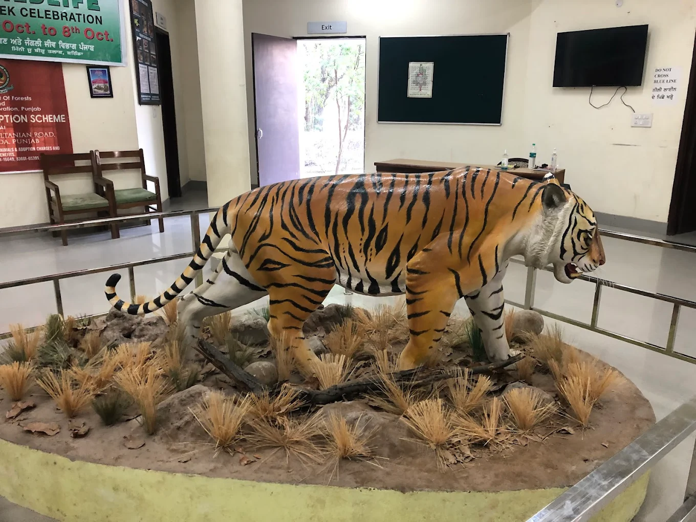 Bir Talab Zoo, Bathinda, photo 1 of 7