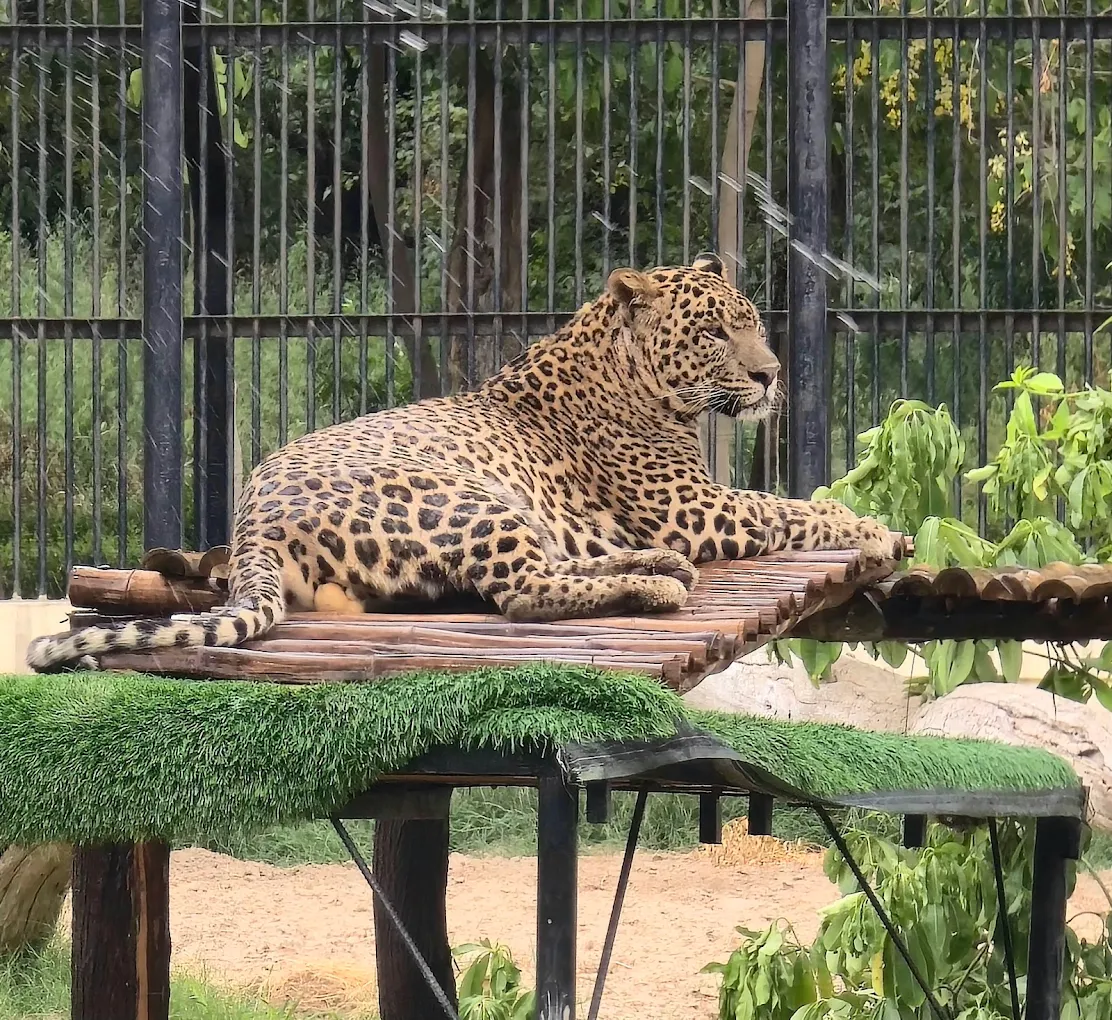 Bir Talab Zoo, Bathinda, photo 2 of 7