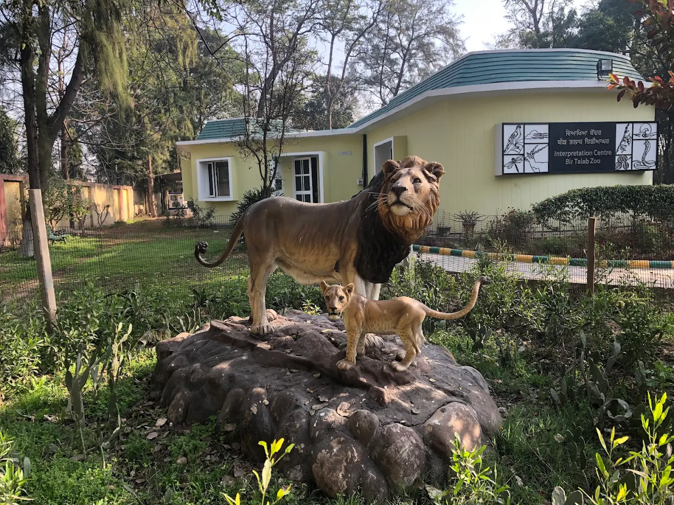 Bir Talab Zoo, Bathinda, photo 3 of 7