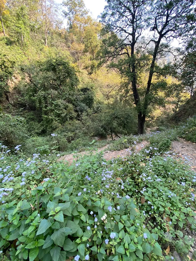 Patna Waterfall, photo 4 of 7