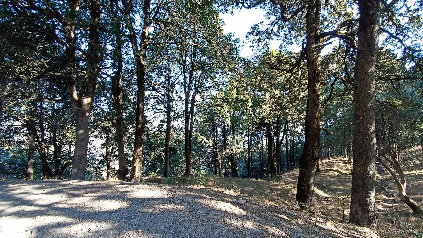 Ranikhet, Uttarakhand, photo 3