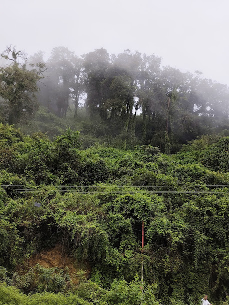 Mussoorie Lake, photo 2 of 10