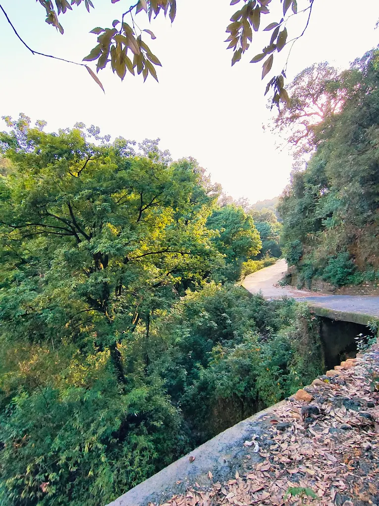 Jharipani Waterfall, photo 2 of 10