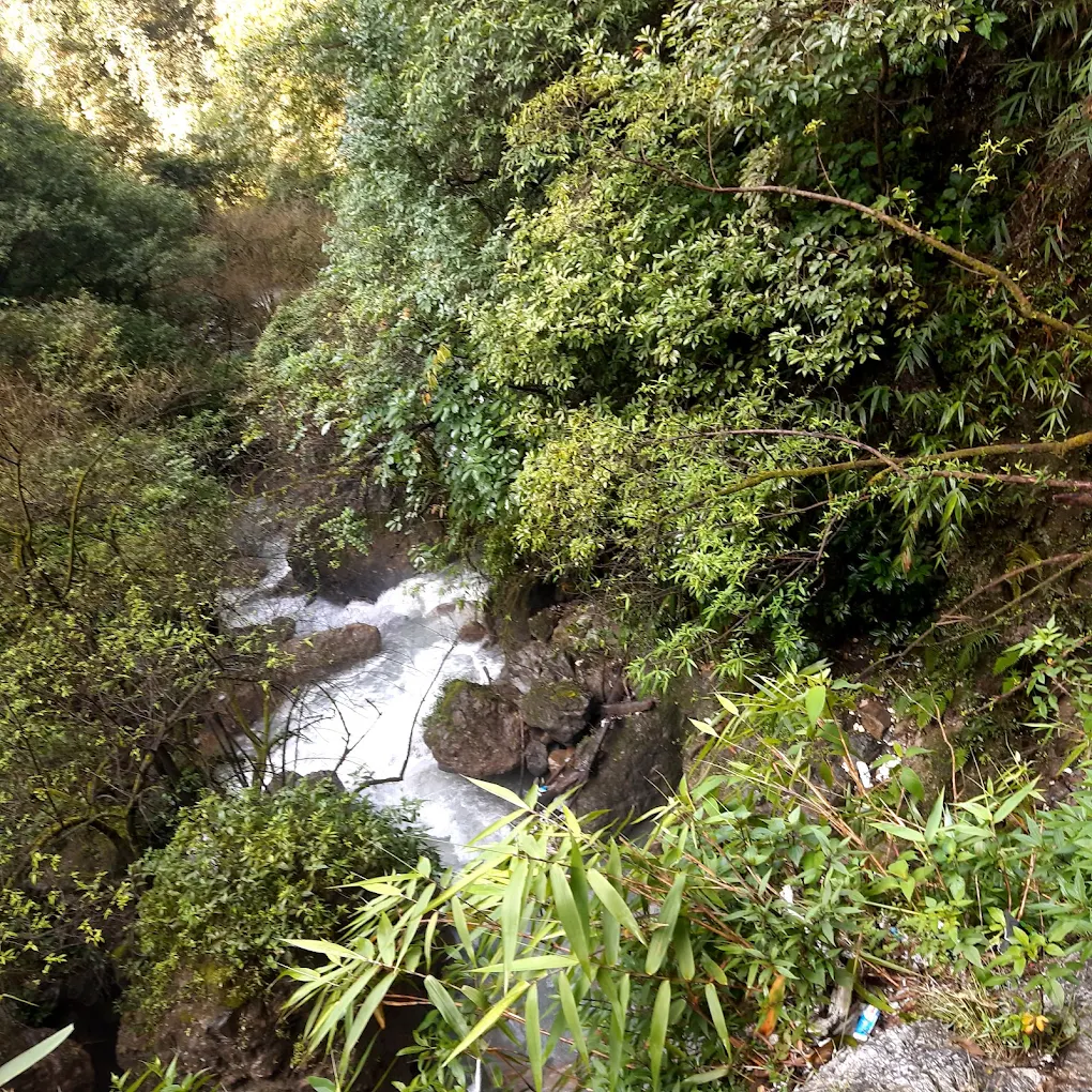 Jharipani Waterfall, photo 4 of 10