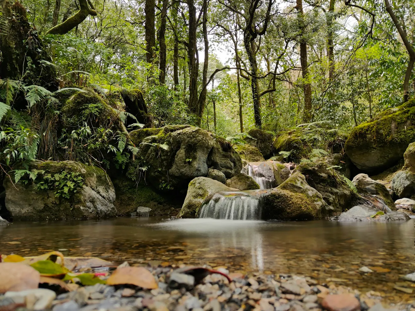 Benog Wildlife Sanctuary, photo 2 of 9