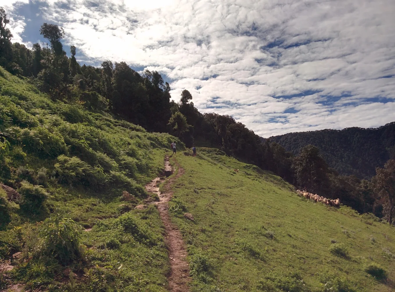 Nag Tibba, photo 2 of 12