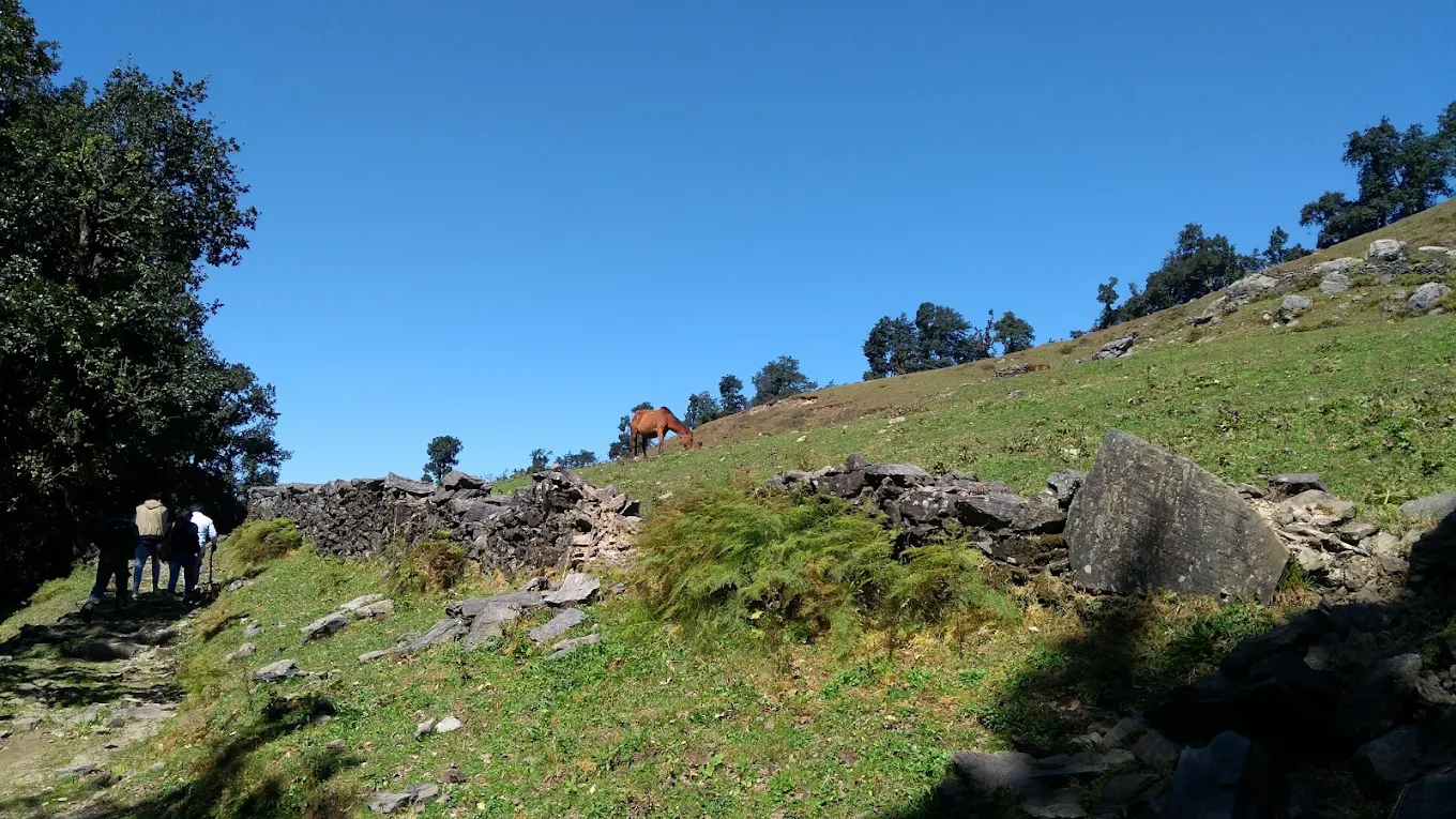 Nag Tibba, photo 4 of 12