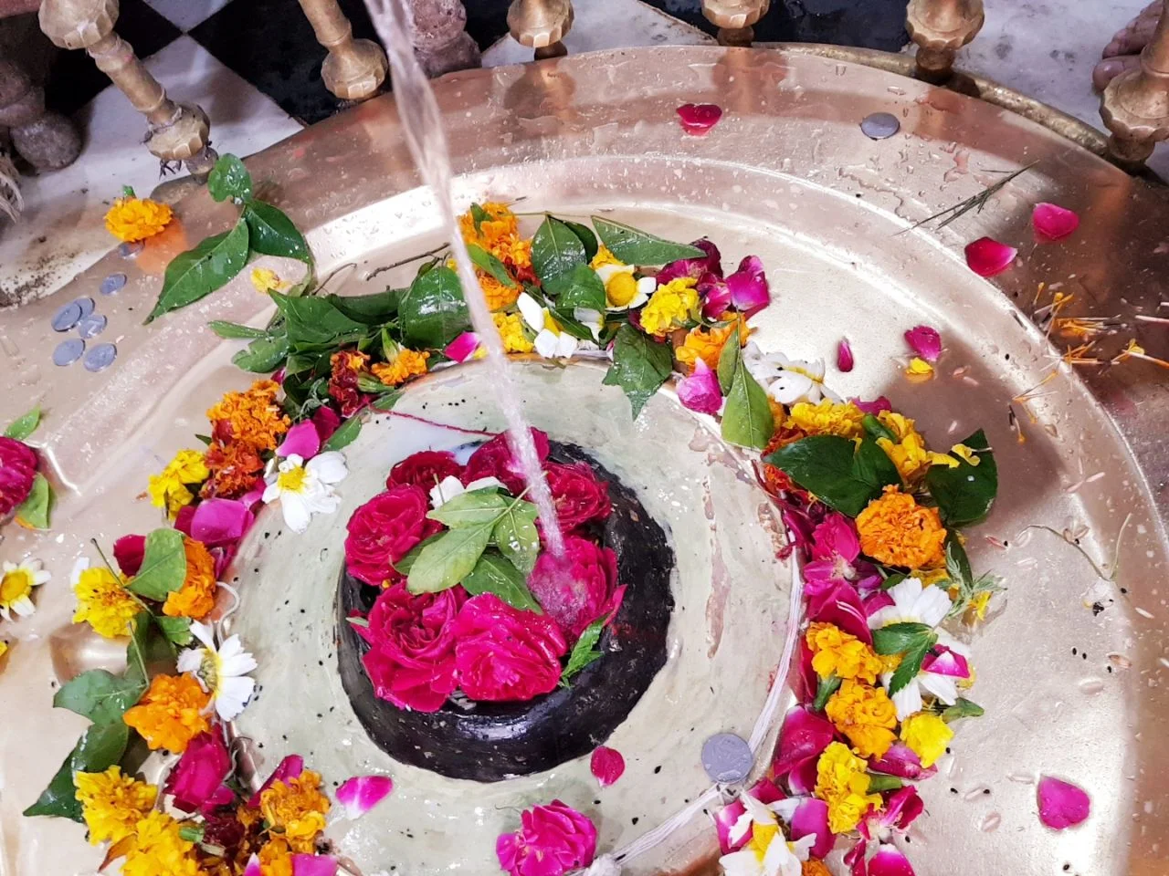 Shree Daksheshwar Mahadev - Daksh Prajapati Temple, photo 3 of 13