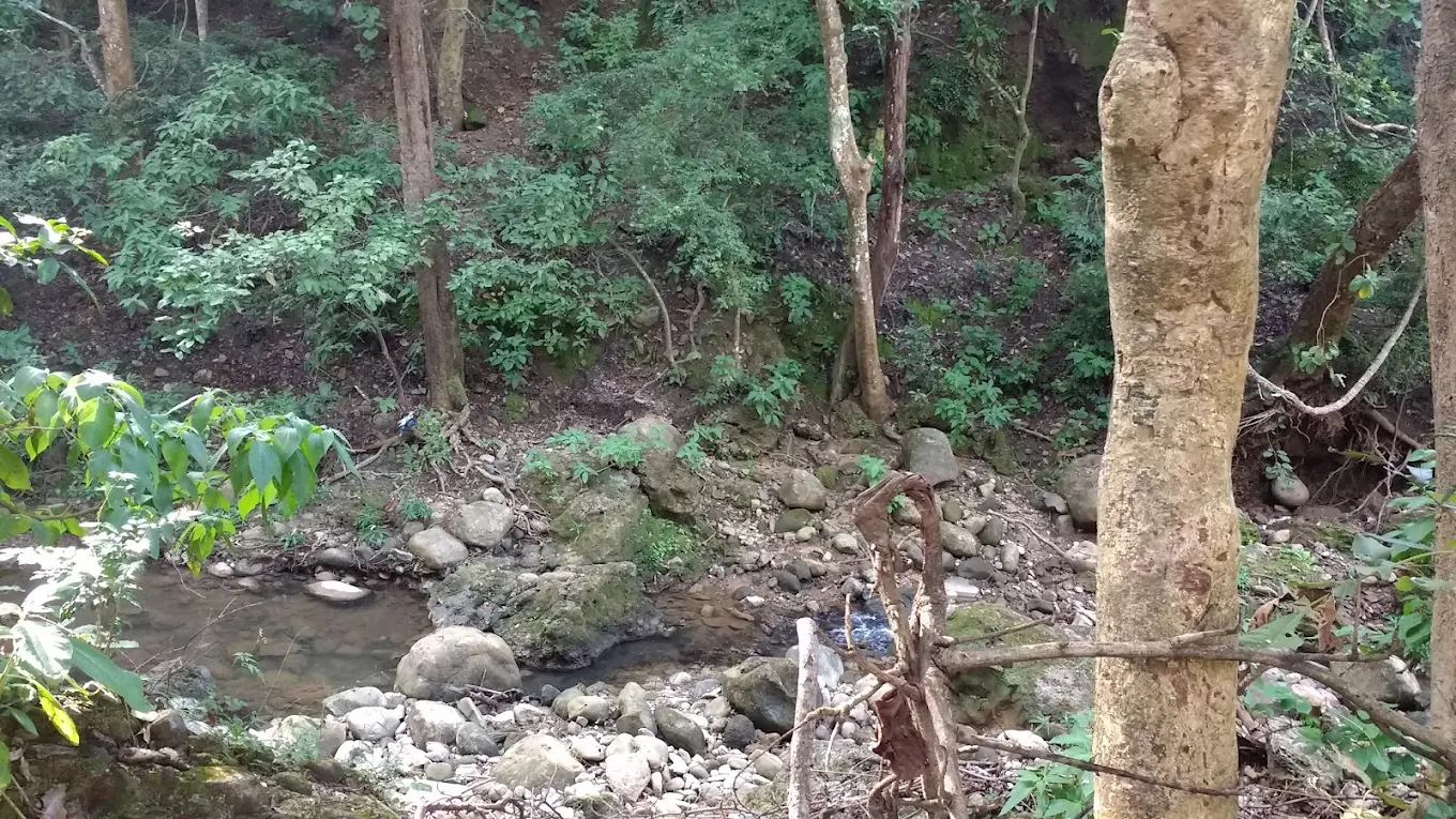 Corbett Falls, photo 4 of 8