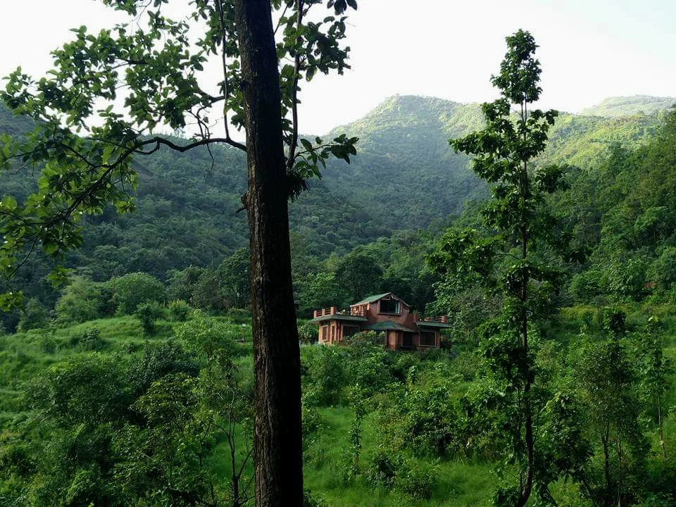 Sitabani Forest Reserve, photo 3 of 12