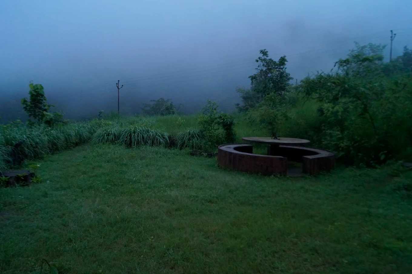 Ramnagar, Uttarakhand, photo 4