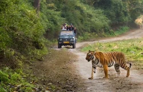 Jim Corbett National Park, photo 1 of 8