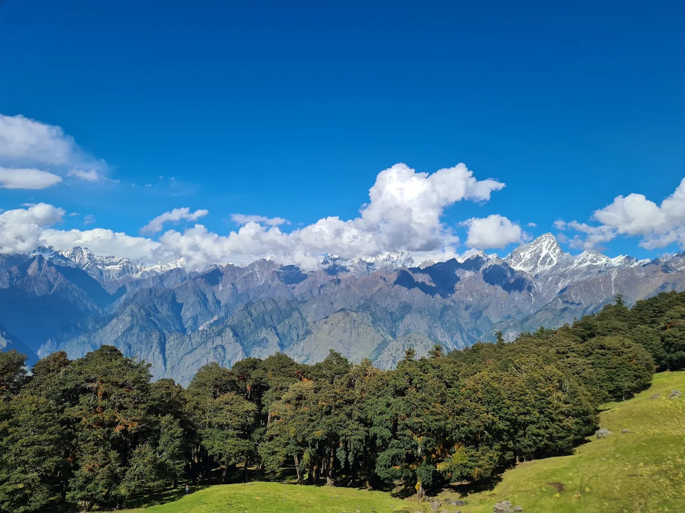 Gurson Bugyal, photo 4 of 9