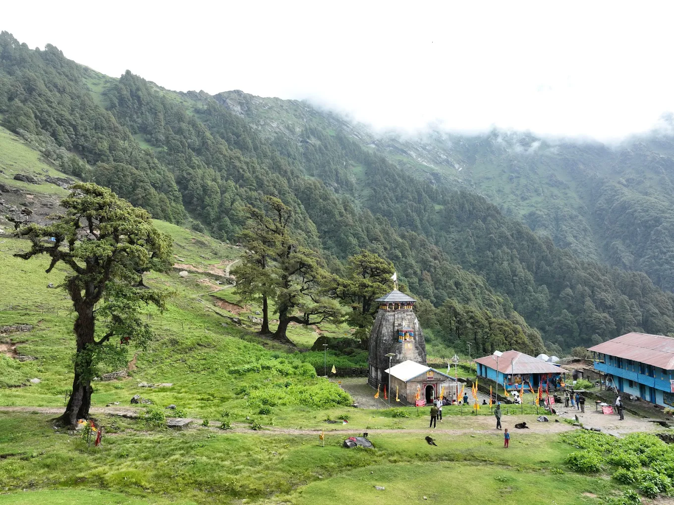 Chopta, Uttarakhand, photo 3