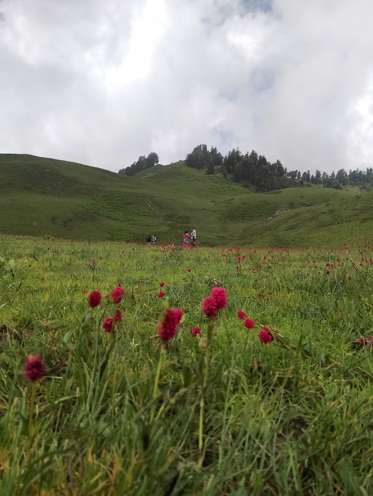 Auli, photo 1 of 6