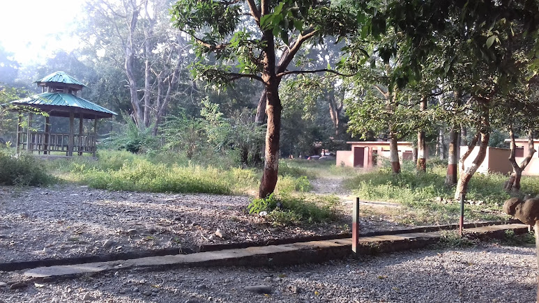 Dehradun, Uttarakhand, photo 3